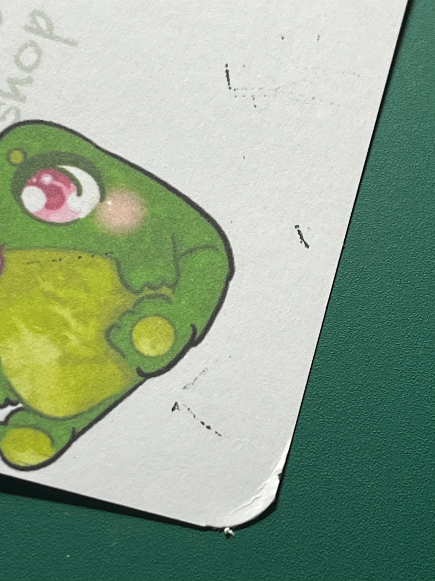 Illustration Les carnets de l’apothicaire format A4