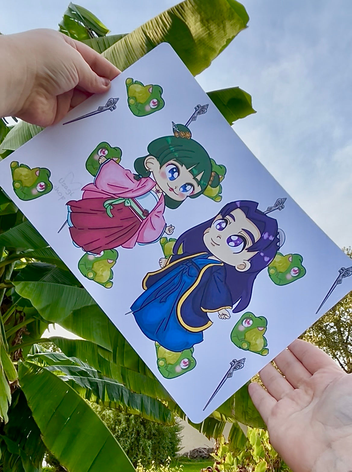 Illustration les carnets de l’apothicaire