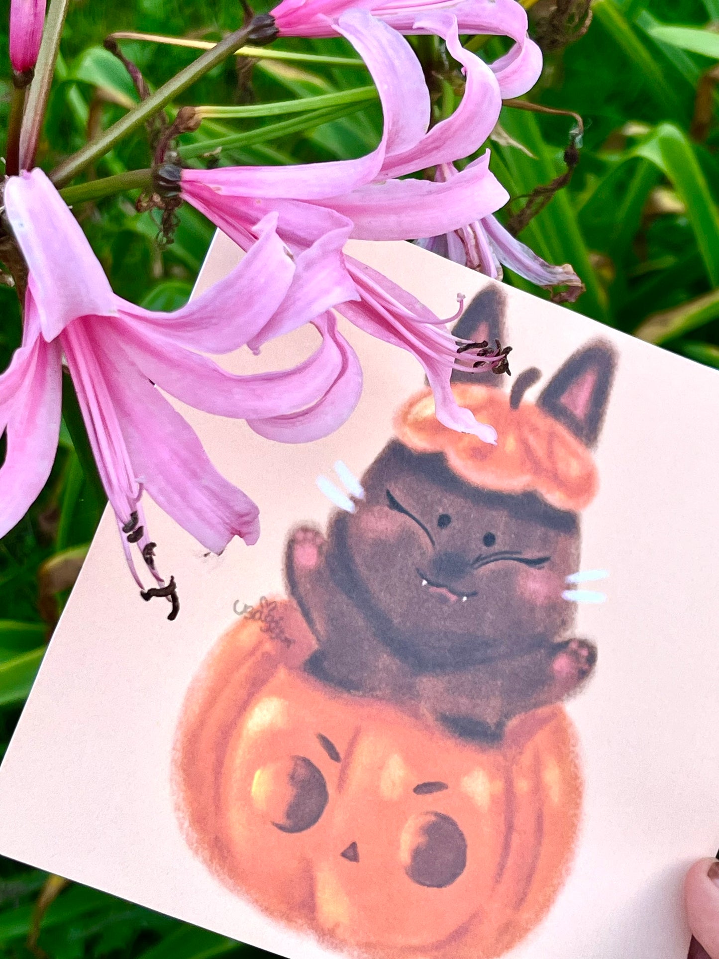Illustration Halloween 2025 thème animaux