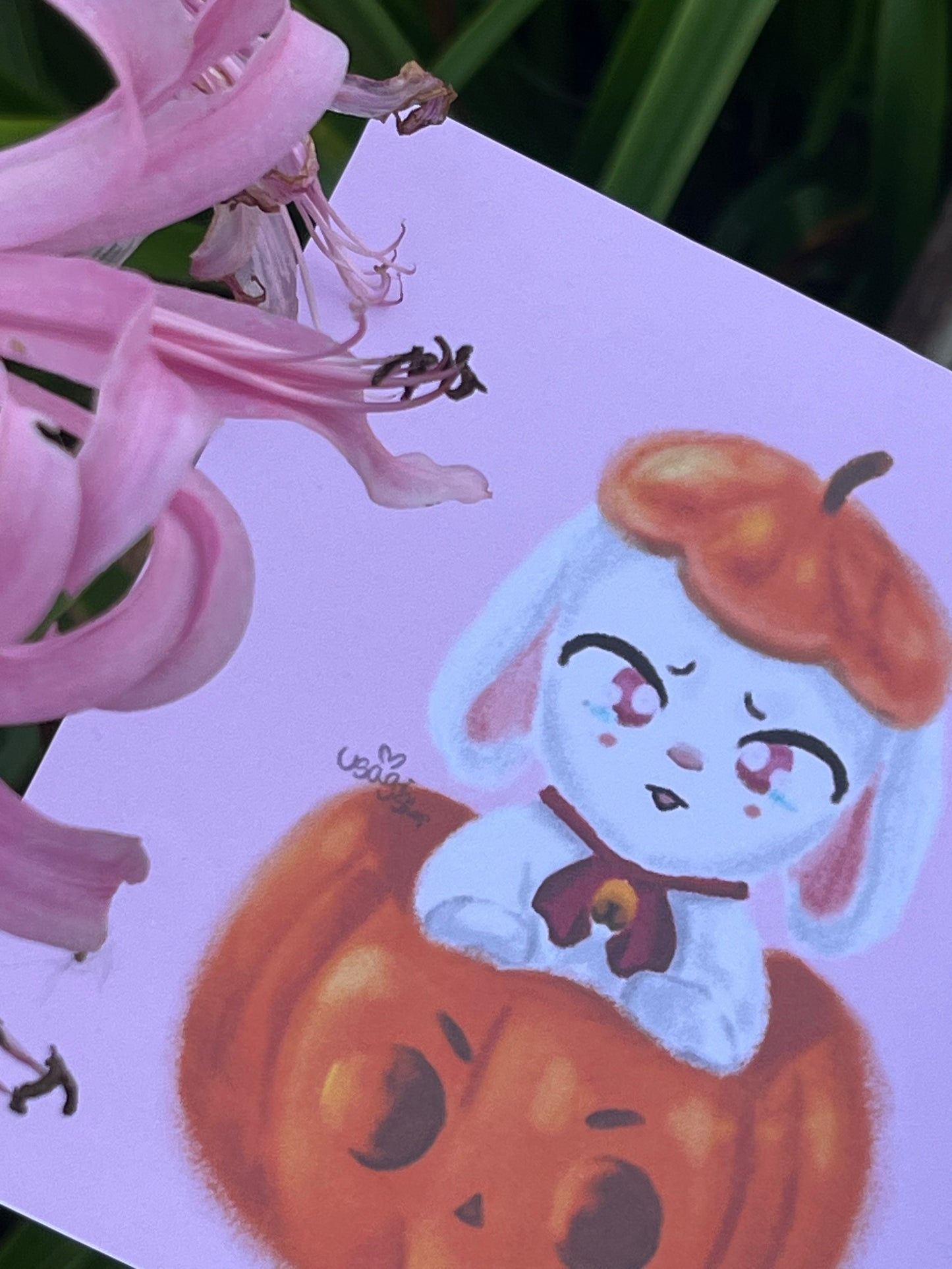 Illustration Halloween 2025 thème animaux