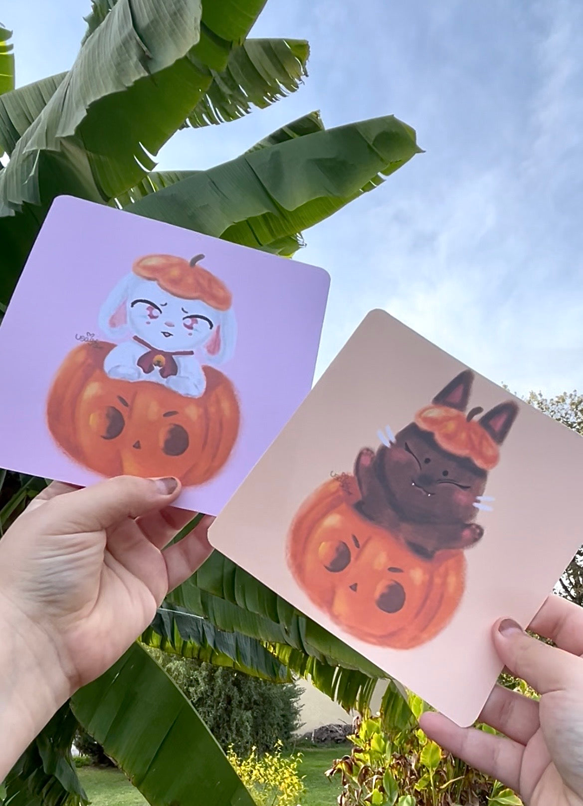 Illustration Halloween 2025 thème animaux